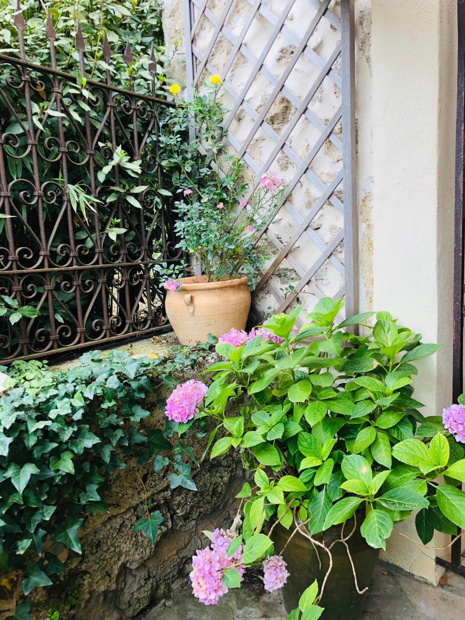 Au Bout Du Pre Hotel Pezenas Luaran gambar